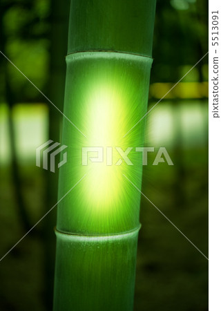 竹與Kaguya公主 5513091