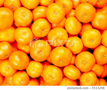 Wenzhou Mingcheng 5513246