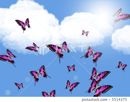 跳到天空的蝴蝶2 跳到天空的蝴蝶2 5514375