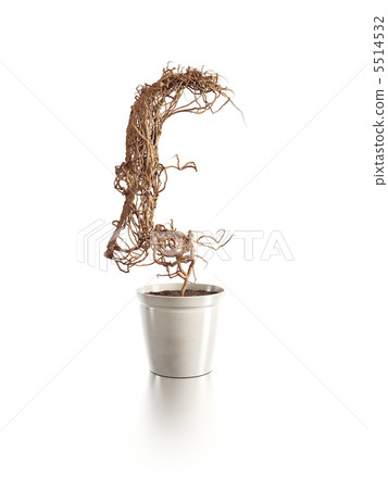 withered pound tree 5514532