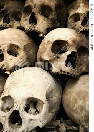 Stack of skulls 5517566