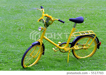 Old yellow bicycle with sunflowers. 5517783