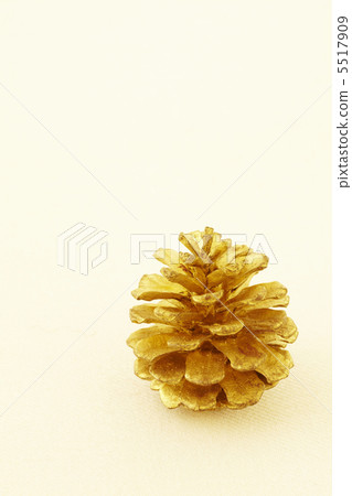 Pinecone 5517909