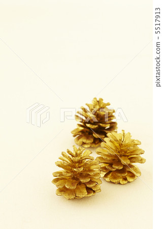 Pinecone 5517913