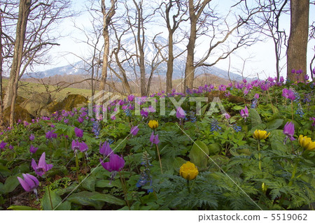 里山春天 里山春天 5519062