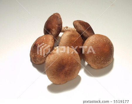 6 raw shiitake mushrooms 5519177