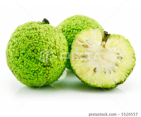 Sliced Osage Oranges (Maclura) Isolated on White 5520557