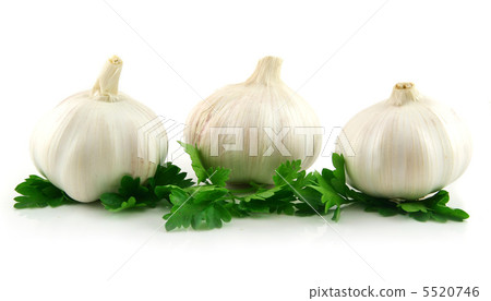 Garlic Vegetable with Green Parsley Leaves Isolated on White 5520746