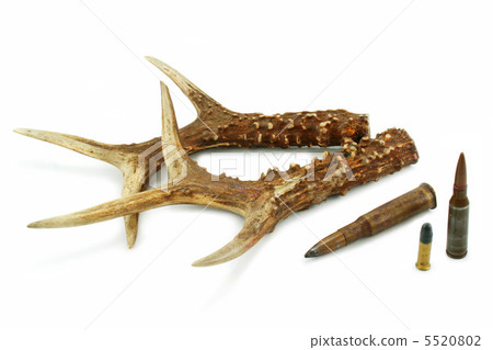 Pair of deer antlers and bullets 5520802