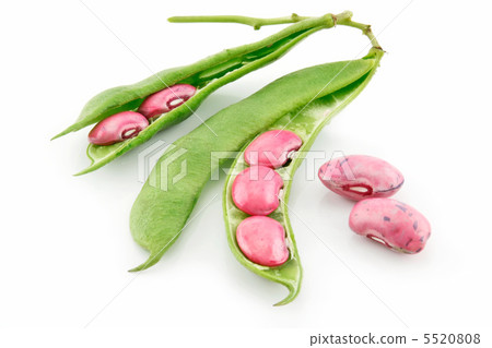 Ripe Haricot Beans with Seed and Leaves Isolated on White Ripe Haricot Beans with Seed and Leaves Isolated on White 5520808