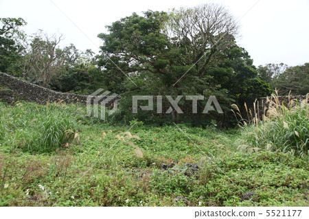 千島城市沖繩縣南城市 5521177