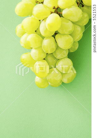 葡萄 葡萄 5521553