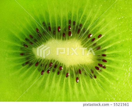 kiwi background 5521561