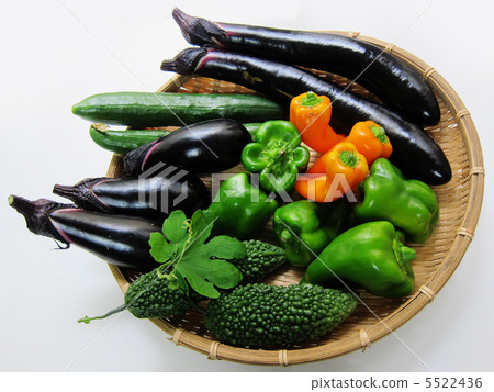 Goya and summer vegetables shot in August Goya and summer vegetables shot in August 5522436