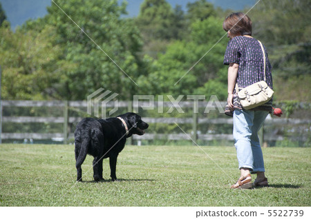 Dog run 5522739