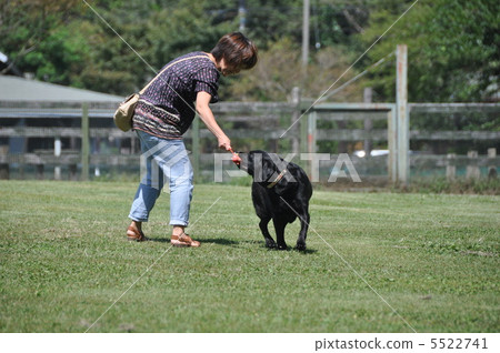 狗跑 狗跑 5522741