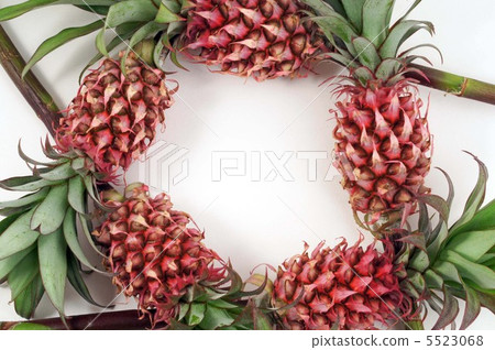 Hanapine框架 5523068