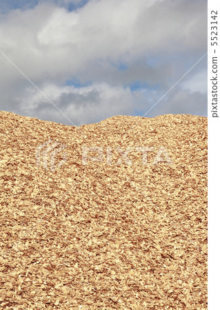 Wood chips 5523142