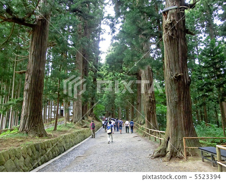 Tsukimizaka at Chusonji Temple (Hiraizumi Town, Nishiiwai District, Iwate Prefecture) 5523394