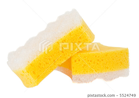 sponge isolated 5524749
