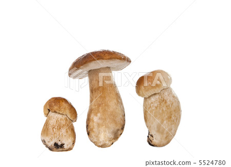 cep isolated 5524780
