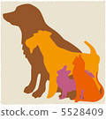 Pet 5528409