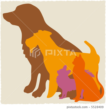 Pet Pet 5528409