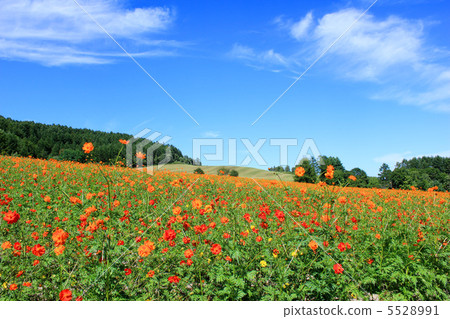 太陽山放大公園宇宙花園 5528991