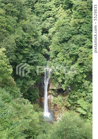 Kokage Falls 5529835