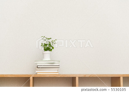 室內植物和書籍 5530105