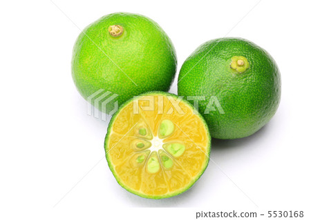 扁實檸檬 扁實檸檬 5530168