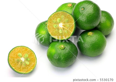 扁實檸檬 扁實檸檬 5530170