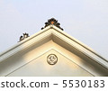 家族徽章 5530183