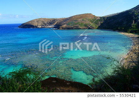 藍色的大海 藍色的大海 5530421