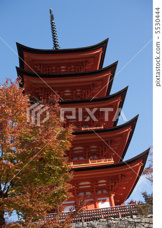 Autumn leaves of Miyajima 5530444