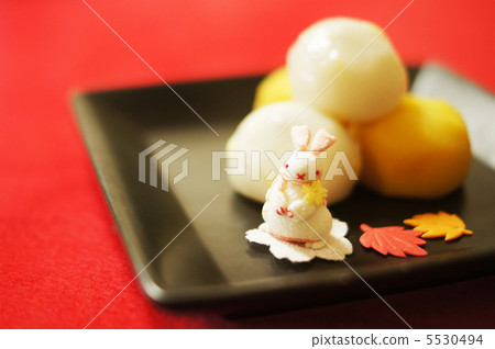 Tsukimi dumplings 5530494