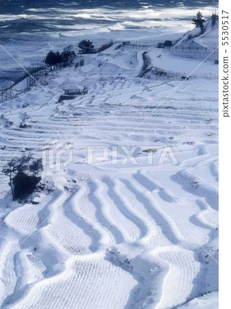 Snow pattern vertical 5530517