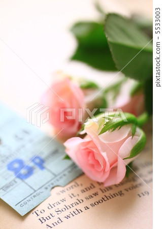 Roses and antique bus tickets Roses and antique bus tickets 5533003