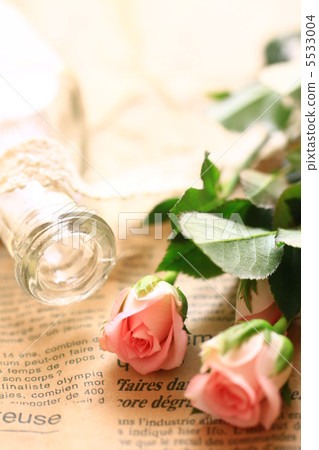 Antique bottle and rose Antique bottle and rose 5533004