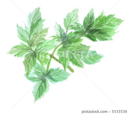 Ashita明天離開 5533539