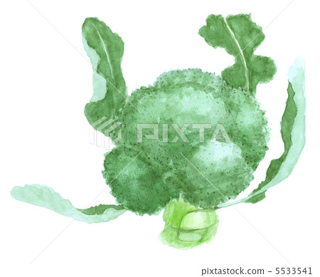 broccoli 5533541