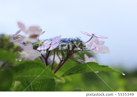雨季的時刻 5535349
