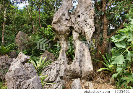 Oishi Hayashiyama 5535461