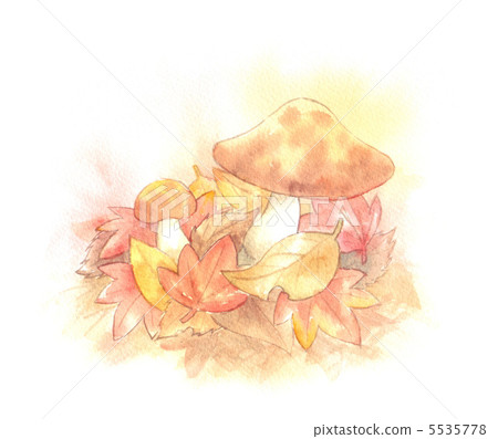 蘑菇和落葉 5535778