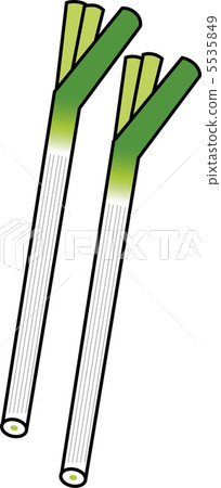 Leek Leek 5535849