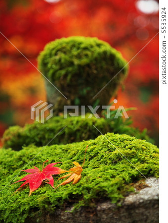 Tanikei Mountain Hwa Temple 5535924