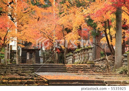 Tanihiro Mountain Kinkiji Temple 5535925
