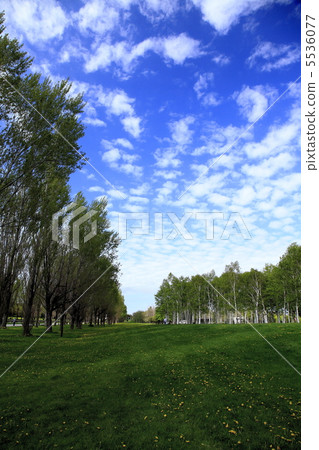 春天前田森林公園 5536077