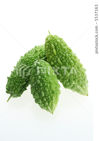 苦瓜 苦瓜 5537163