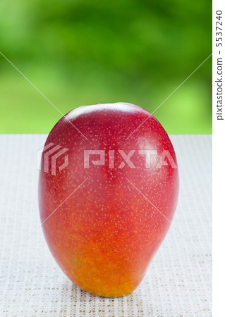 蘋果芒果 5537240